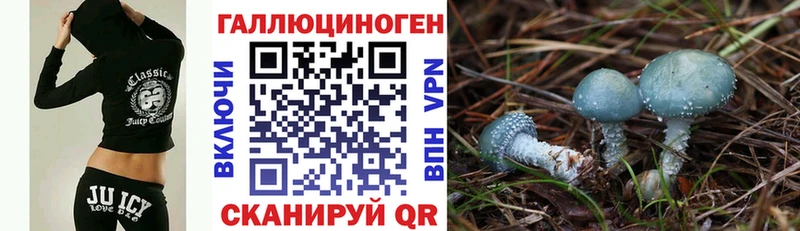 Купить закладки  Кирсанов  Галлюциногенные грибы Psilocybe 
